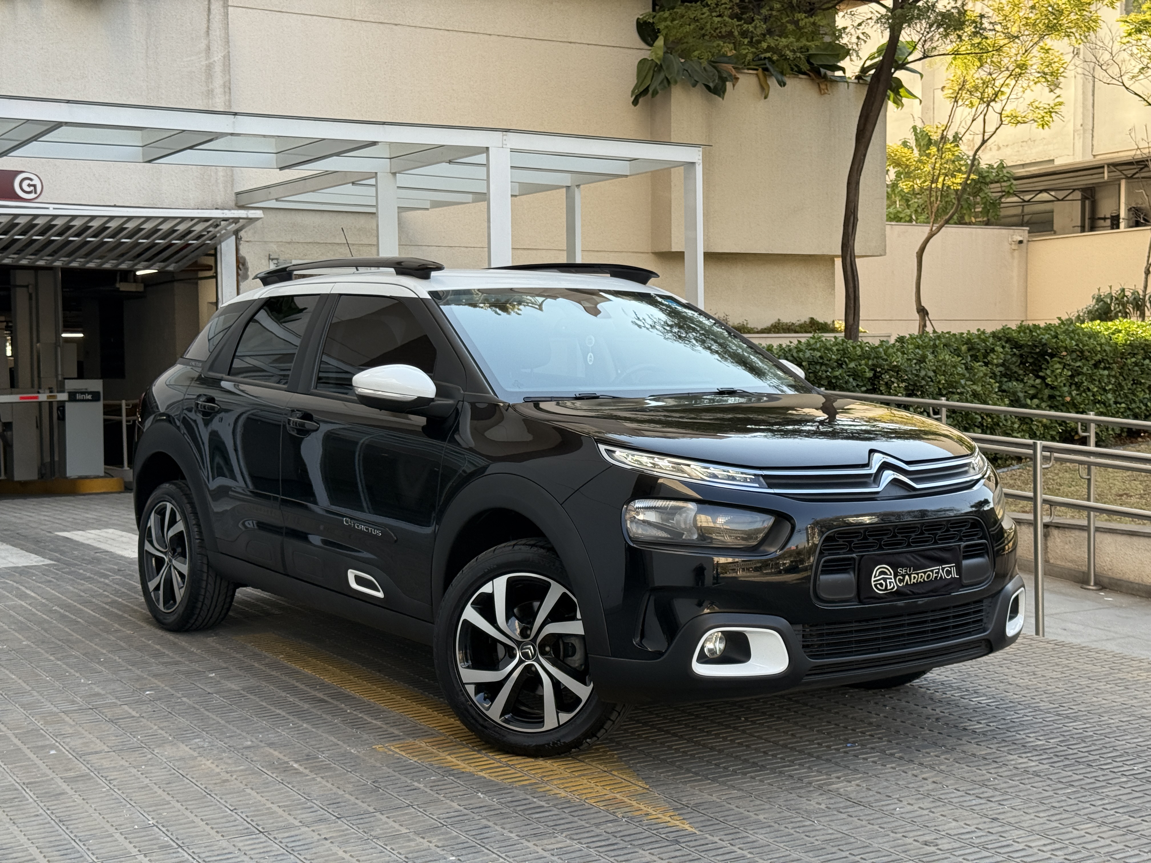 Citroen C4 Cactus Shine Pack 